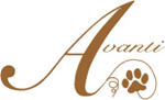 AVANTI