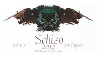 ASYLUM SCHIZO ASYLUM SCHIZO